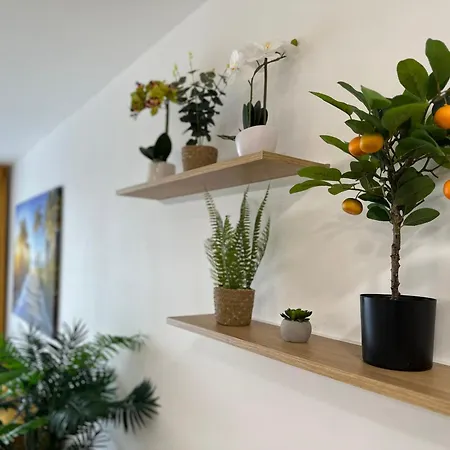 Appartement A&m - Brand New Luxury & Business Solny Potok Prešov